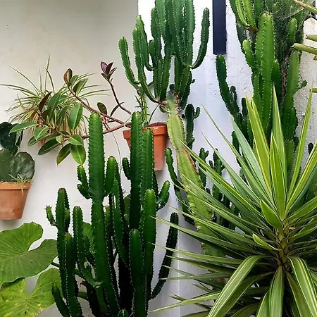 El Retiro Daire Tarifa
