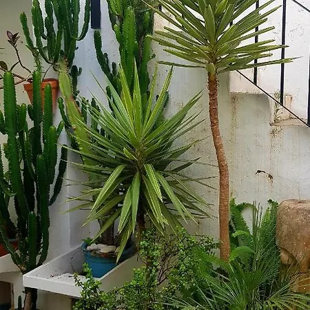 아파트 El Retiro